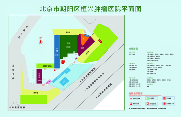 骚逼大鸡巴亚洲白虎蜜桃网站北京市朝阳区桓兴肿瘤医院平面图